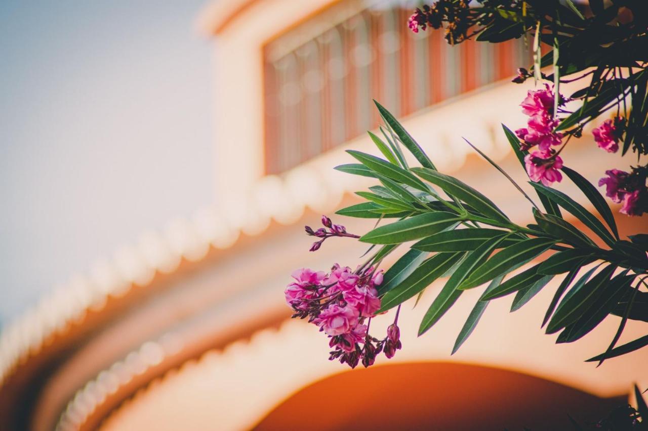Quinta Da Falfeira Hospedagem domiciliar Lagos